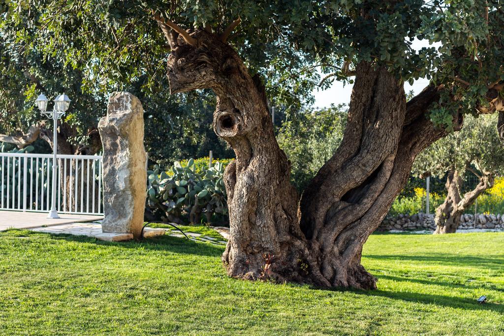 Apartmán Il Giardino Dei Frangipani Santa Croce Camerina Exteriér fotografie